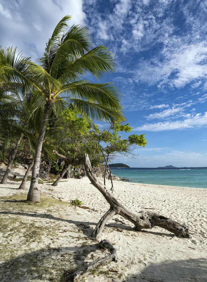 Banana Island in Palawan, Philippines Stock Image Image of mountain