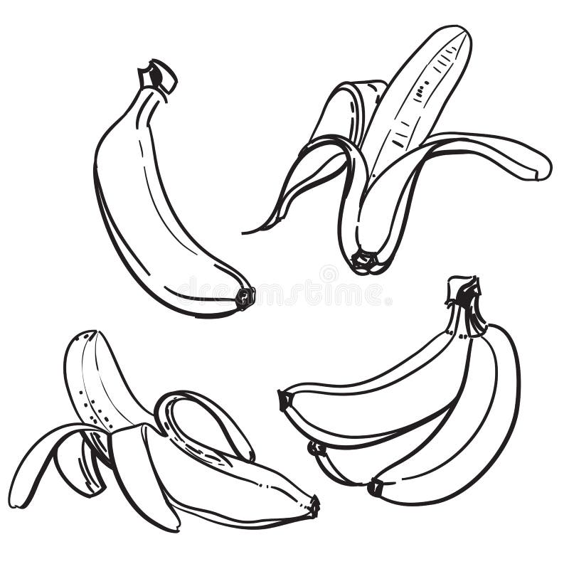 Desenho De No Estilo Sombreamento Detalhado PNG , Desenho De Cauda, Banana  Para Colorir PNG Imagem para download gratuito