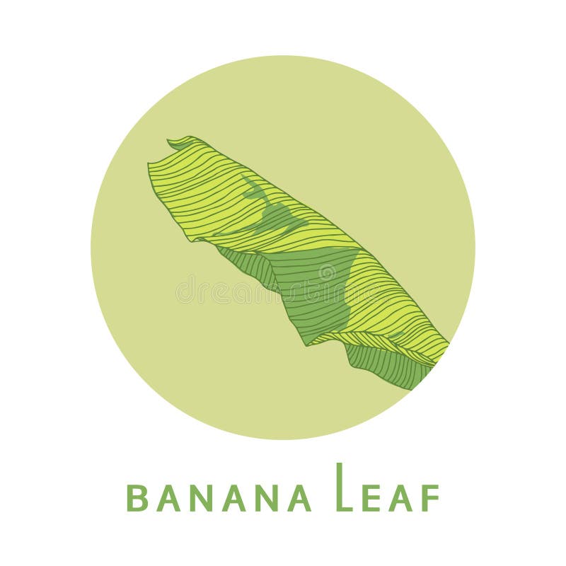 Banana Leaf Logo Flat Design, Isolated Vector Illustration Stock Vector Illustration of