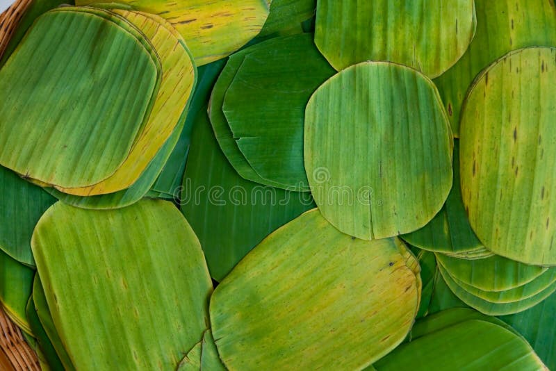 Banana Leaf ,for Wrap Thai Style Dessert Picture. Image 15814948