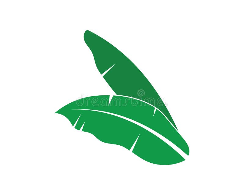 Banana Leaf Logo