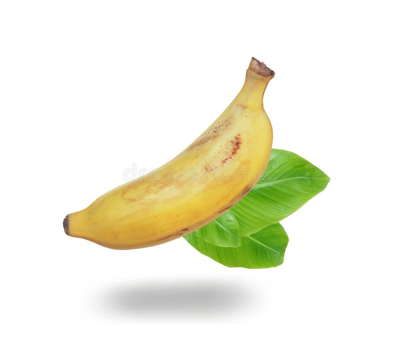 Bananas Png Stock Photos - Free & Royalty-Free Stock Photos from Dreamstime