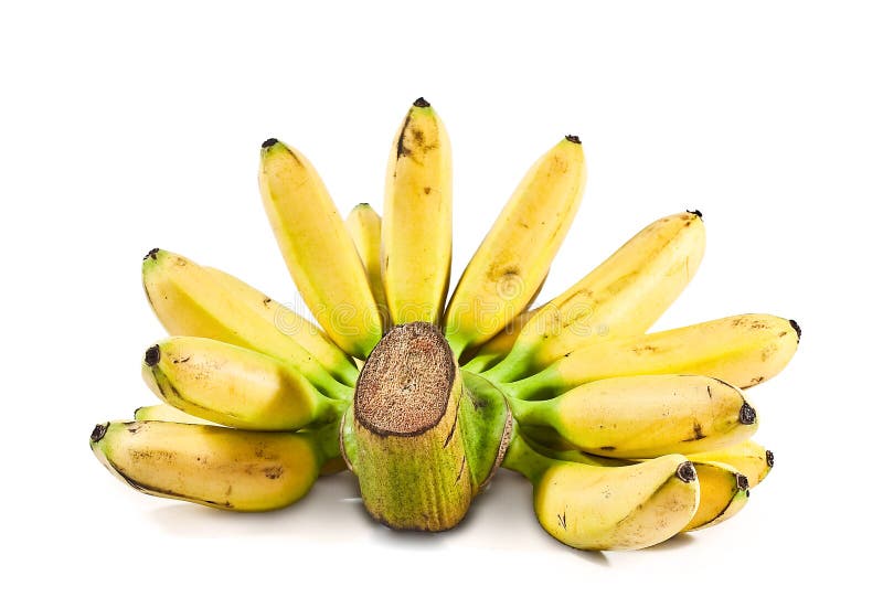  Banana  Mas di Pisang  immagine stock Immagine di 