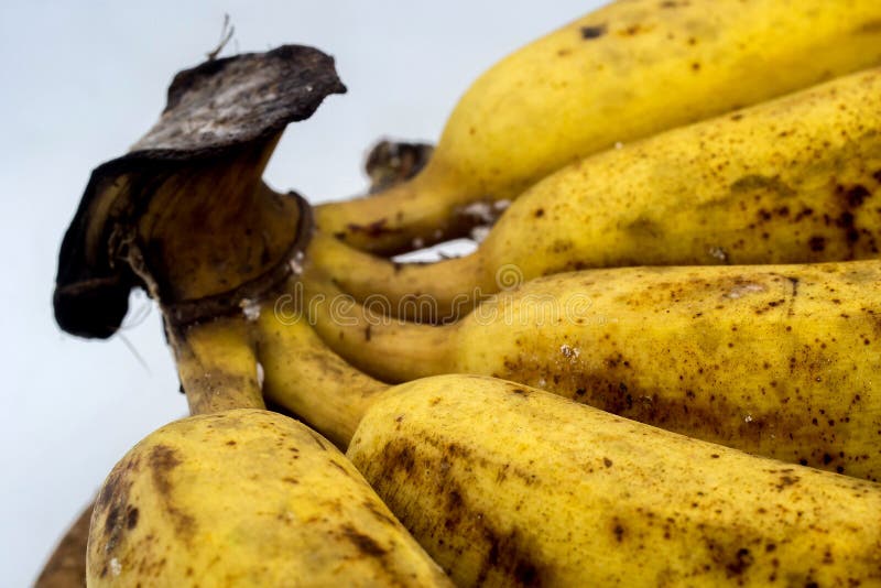 Banana with Mold or Fungi on the White Background Stock Photo Image
