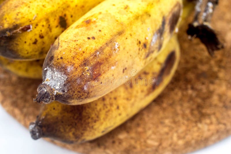 Banana with Mold or Fungi on the White Background Stock Image - Image ...