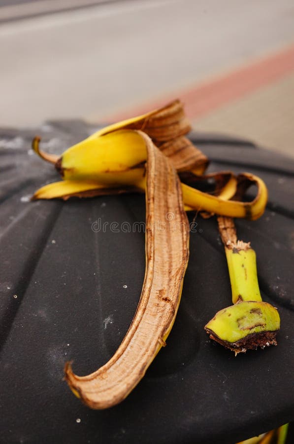 Banana peel stock image. Image of waste, peel, banana 45375415