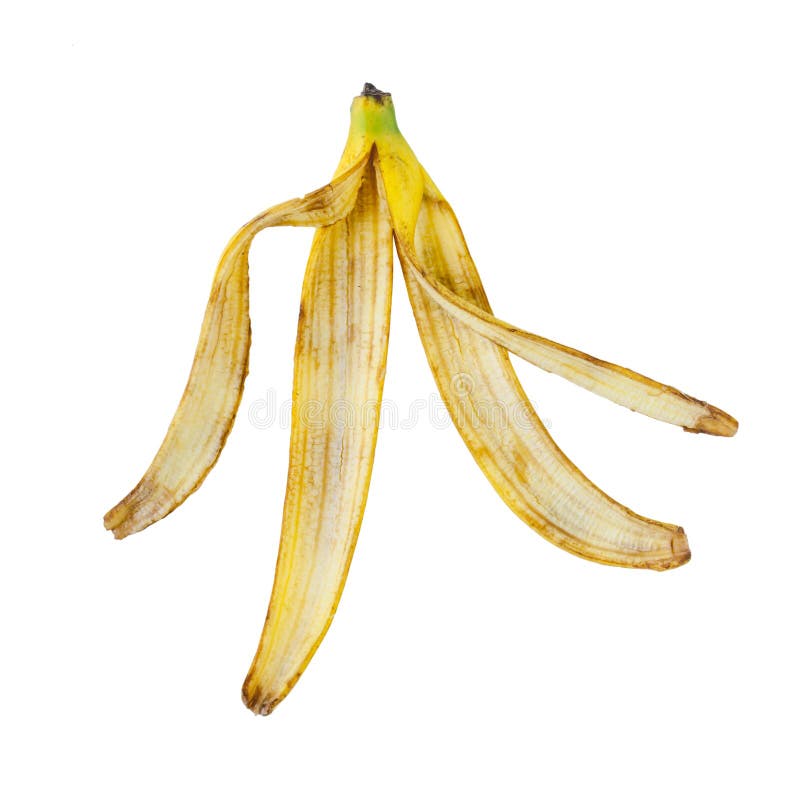 My Image 26