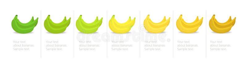 Fruit Ripeness Chart