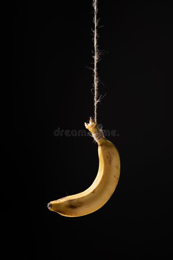 Banana on a rope stock photo. Image of juicy, ripe, hanging 252734382