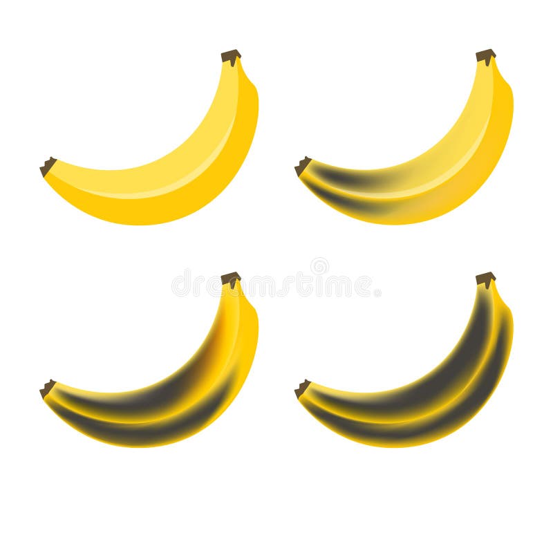 Rotten Banana Stock Illustrations – 319 Rotten Banana Stock Illustrations, Vectors & Clipart - Dreamstime Rotten Banana Stock Illustrations – 319 Rotten Banana Stock Illustrations, Vectors & Clipart - Dreamstime