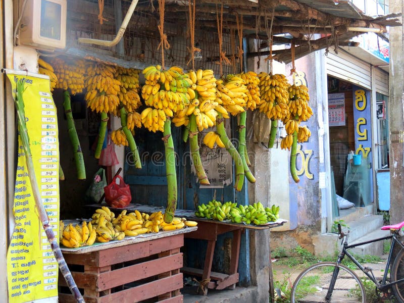 Sri Lanka banana store editorial photo. Image of indianocean - 101420696