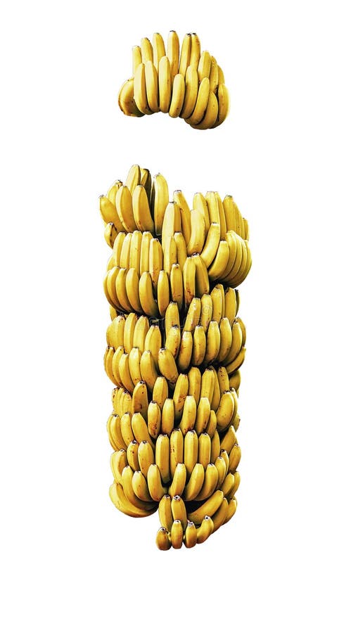 Banana tree bunch isolated on white ripe mature yellow