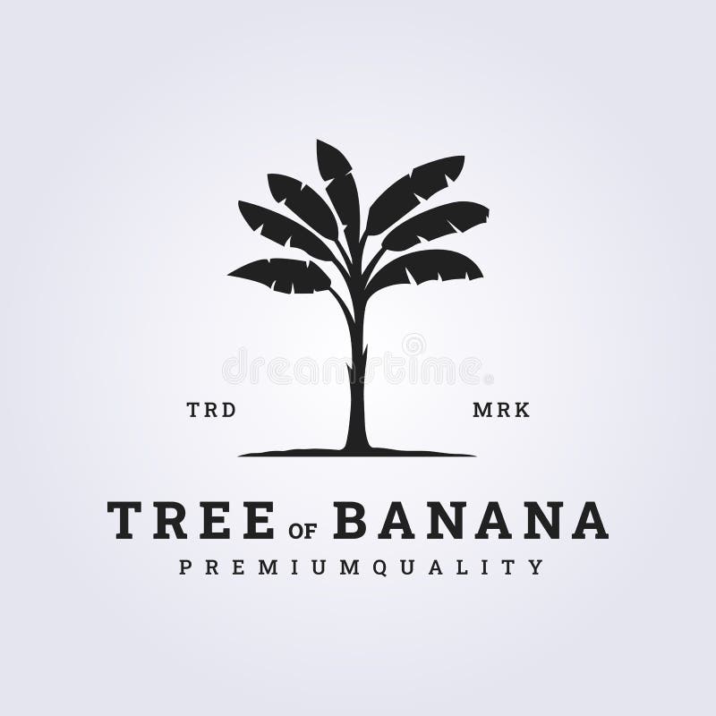 Banana Tree Logo Vector Retro Vintage Illustration Design Stock Illustration Illustration of