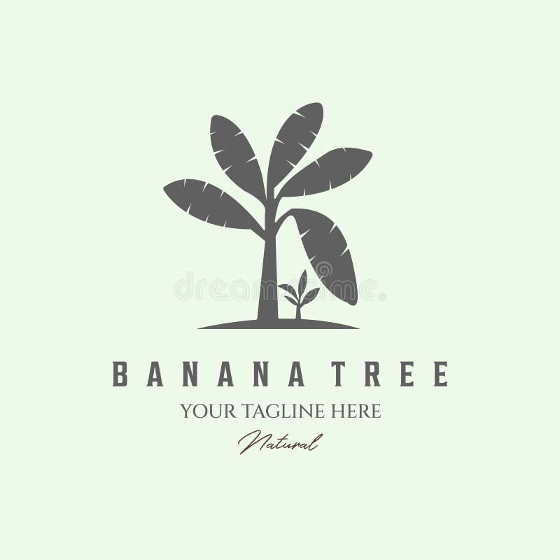 Banana Tree Vintage Logo Design Minimalist Vector Stock Vector Illustration of organic