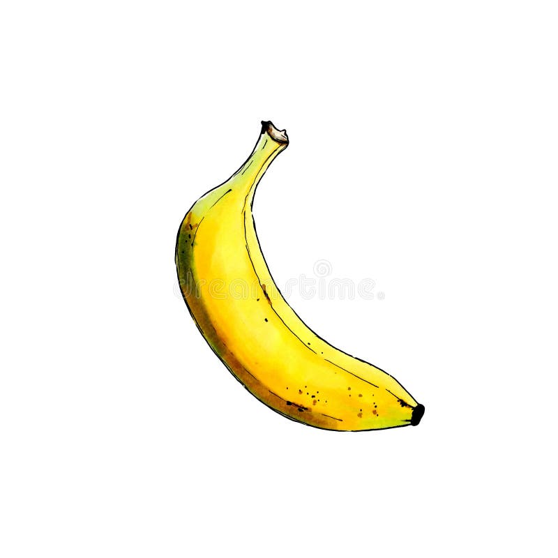 Banana on White Background. Hand Draw Illustration. Markers Drawing
