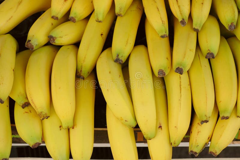 Bananas fotos de stock Bananas fotos de stock