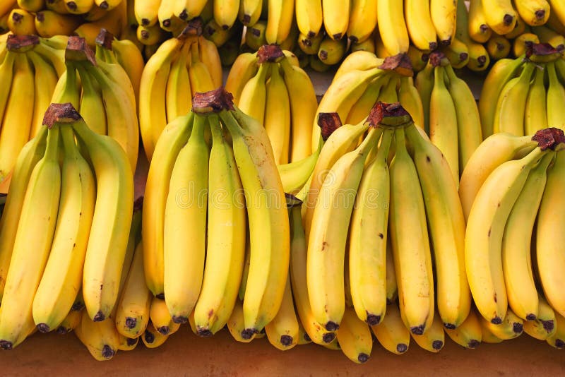 Bananas stock image. Image of fruit, bananas, market 122302823