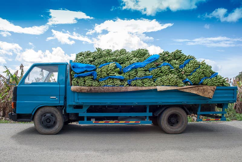 Bananas levando de um caminhão azul