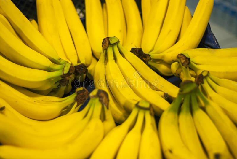 Bananas on stand stock photo. Image of green, sell, market 126573770