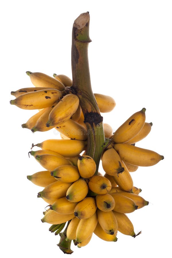 Banane images stock Banane images stock