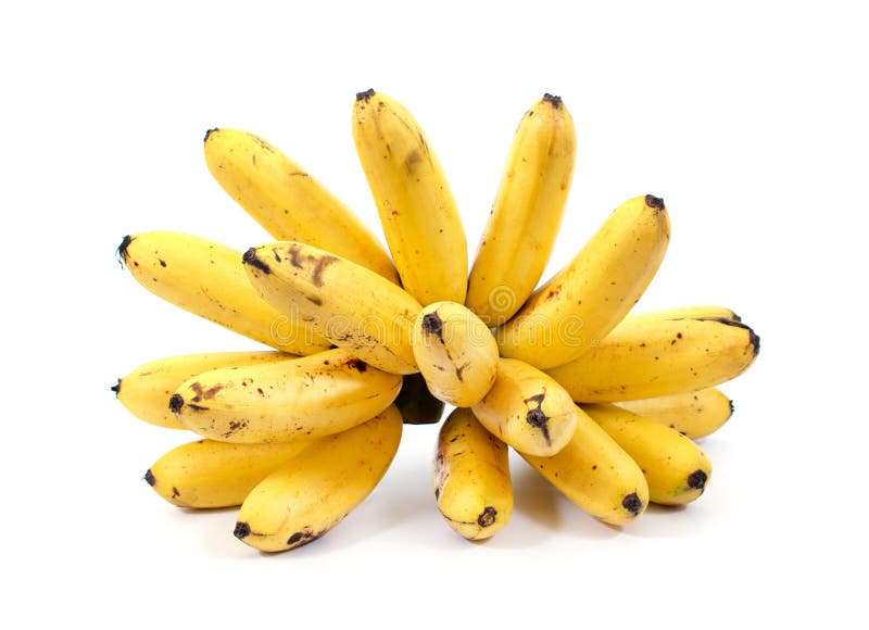 Banane d'or d'isolement sur le fond blanc La banane de MAS de Pisang a isolé A haché plus de banane d'isolement Banane d'isolemen photo stock Banane d'or d'isolement sur le fond blanc La banane de MAS de Pisang a isolé A haché plus de banane d'isolement Banane d'isolemen photo stock