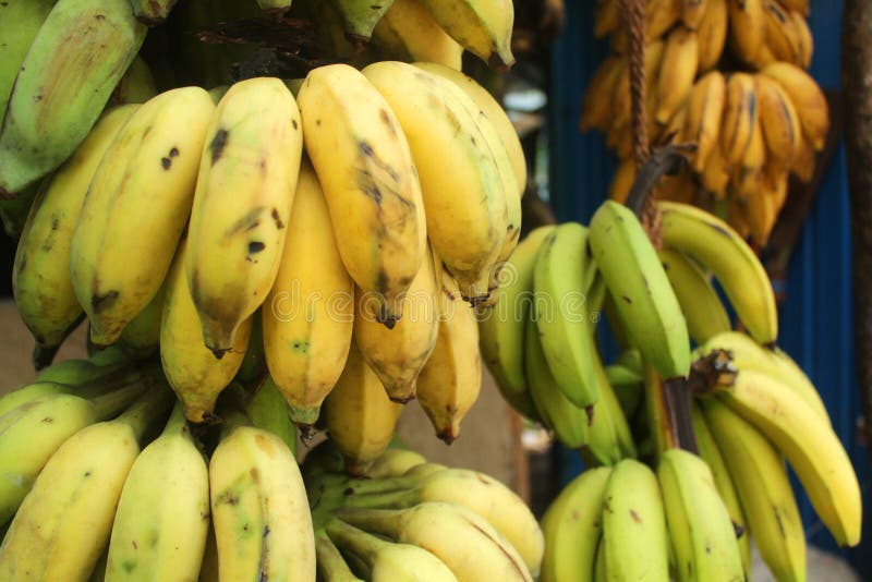 Bananer royaltyfri bild Bananer royaltyfri bild