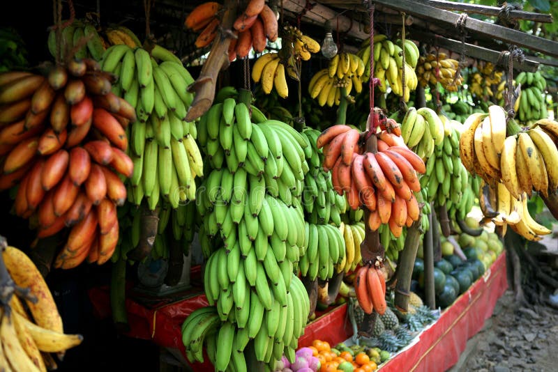 Bananes photo libre de droits Bananes photo libre de droits