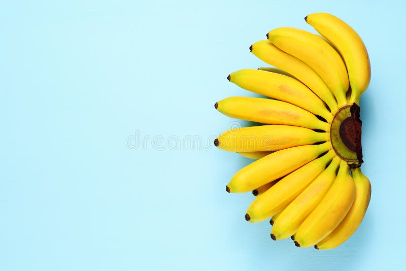 Bananes de bébé sur le bleu photo stock Bananes de bébé sur le bleu photo stock
