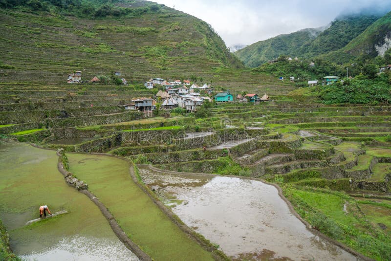 Banaue-Reis-Terrassen stockfotografie Banaue-Reis-Terrassen stockfotografie