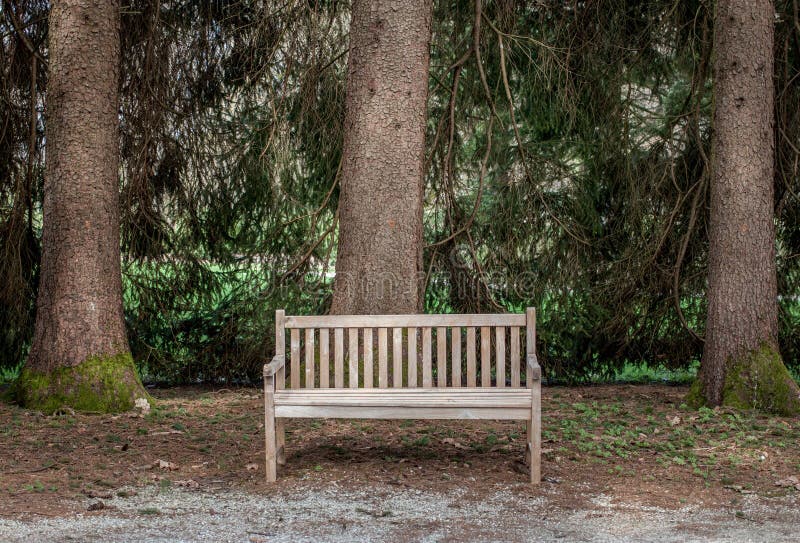 Banc dans la forêt photos libres de droits Banc dans la forêt photos libres de droits