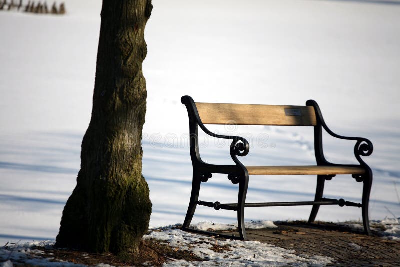 Banc de l'hiver photographie stock libre de droits Banc de l'hiver photographie stock libre de droits