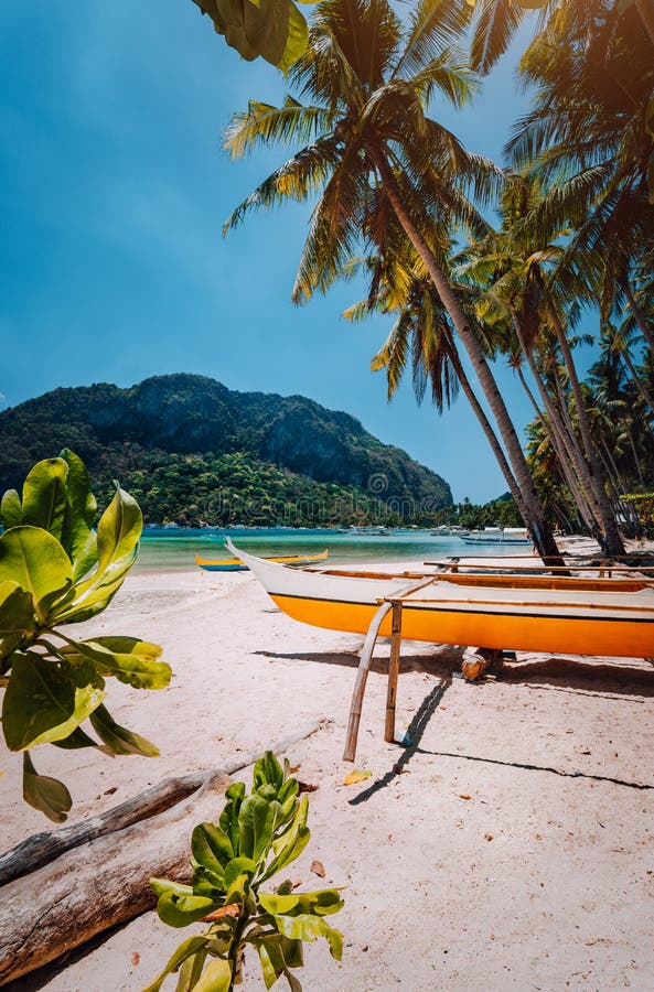 Banca Boote Unter Palmen Auf Sandigem Strand In Corong  