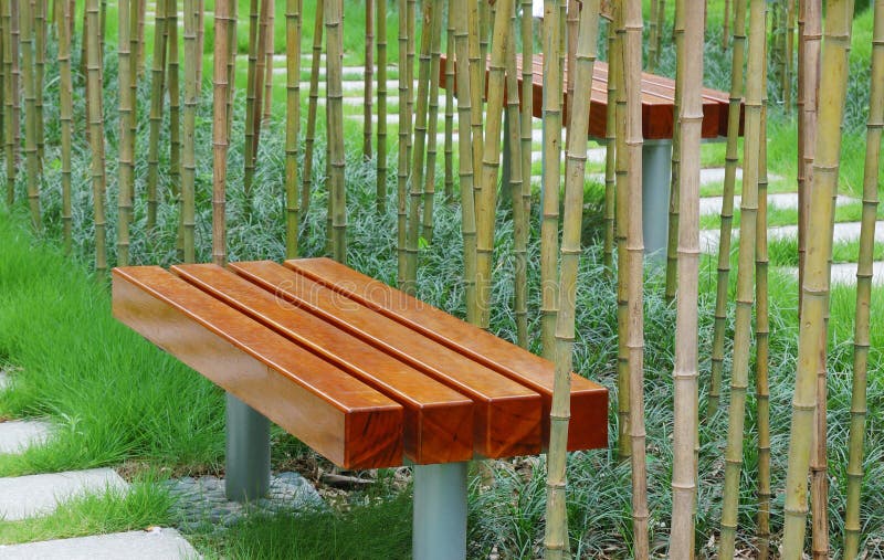 Banco com bambu à volta imagem de stock