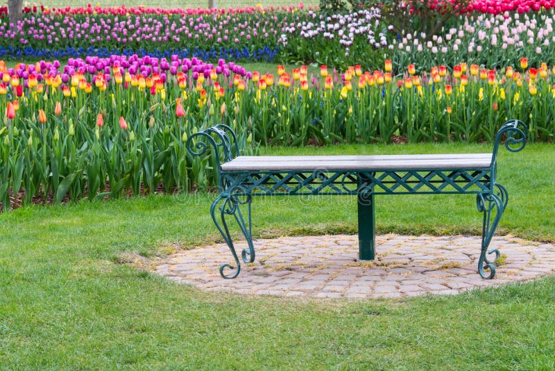 Banco de parque em Tulip Flower Garden imagem de stock royalty free Banco de parque em Tulip Flower Garden imagem de stock royalty free