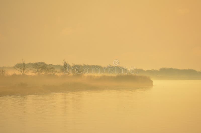 Summer sunrise over the misty river bank. Soft focus. Beautiful background. Summer sunrise over the misty river bank. Soft focus. Beautiful background