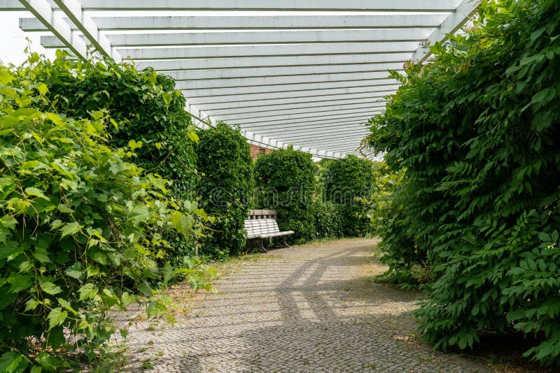 Banco di parco di legno bianco scenico sotto una pergola bianca immagini stock Banco di parco di legno bianco scenico sotto una pergola bianca immagini stock