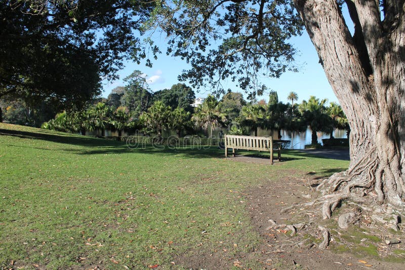 Banco di parco a Virginia Lake immagine stock libera da diritti Banco di parco a Virginia Lake immagine stock libera da diritti