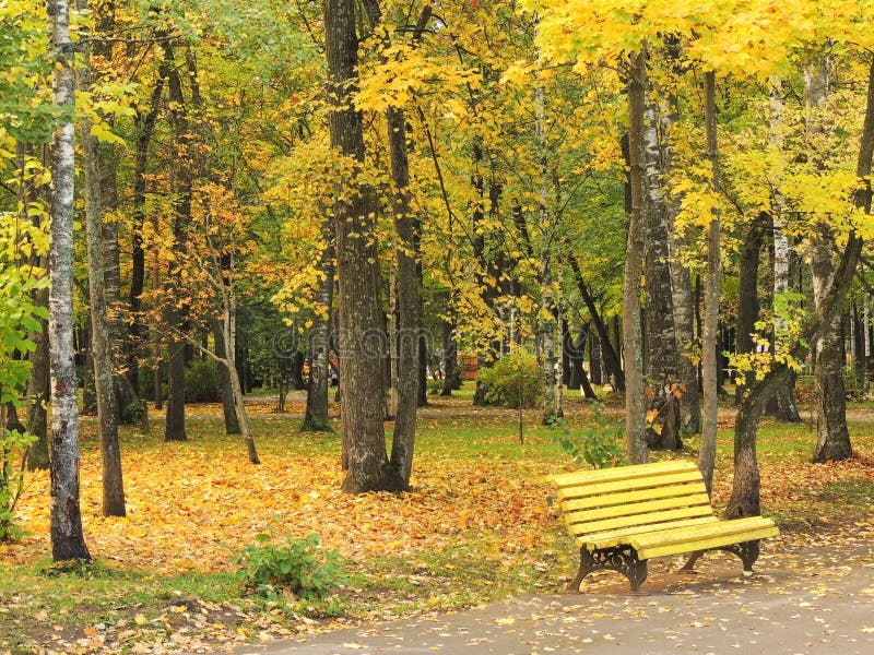 Banco giallo nel parco di autunno fotografie stock libere da diritti Banco giallo nel parco di autunno fotografie stock libere da diritti