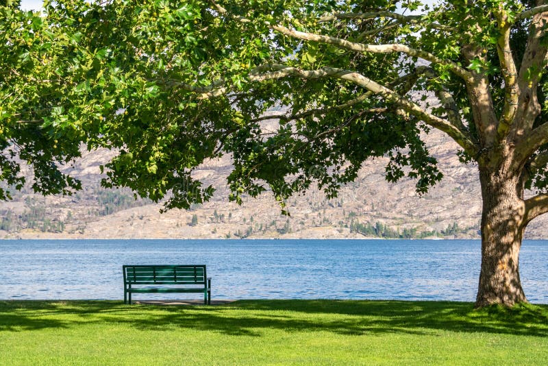 Banco solo sulla riva con la panoramica delle montagne e del lago sotto la corona del castagno fotografia stock Banco solo sulla riva con la panoramica delle montagne e del lago sotto la corona del castagno fotografia stock