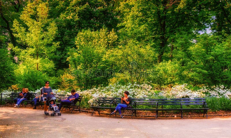 Bancs de Central Park photographie stock libre de droits Bancs de Central Park photographie stock libre de droits