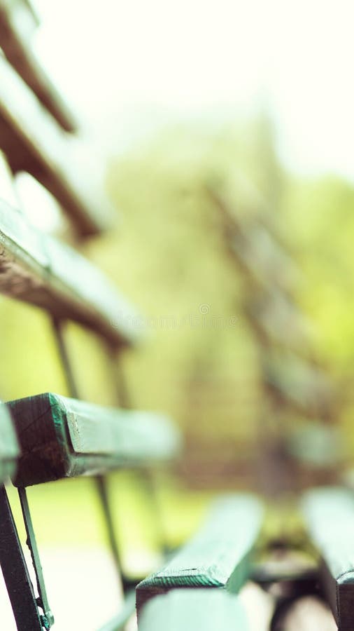 Bancă foto goală în parc royalty free stock photos