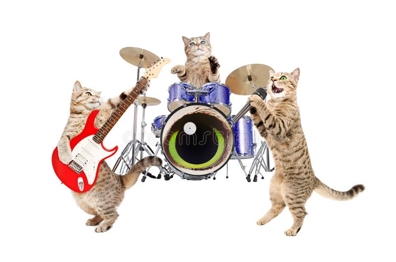 Band musicians cats stock photo. Image of curious, concert 88554072