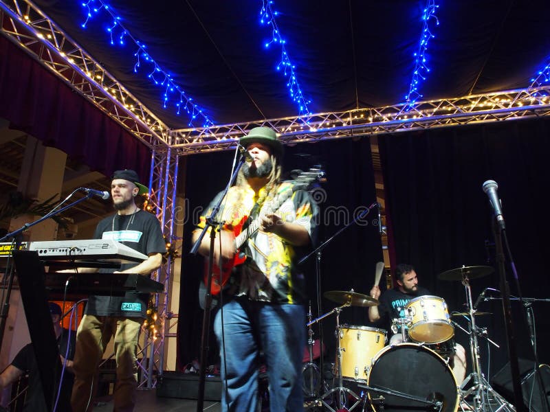 Banda De Orientação Cantando E Emperrando No Palco Em Mai Tai Bar Imagem de  Stock Editorial - Imagem de microfone, feliz: 231110359