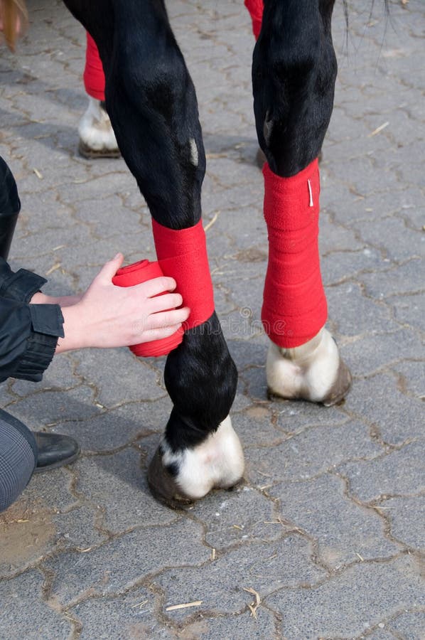 Bandaging of the Legs with Elastic Bandage Stock Image Image of grief
