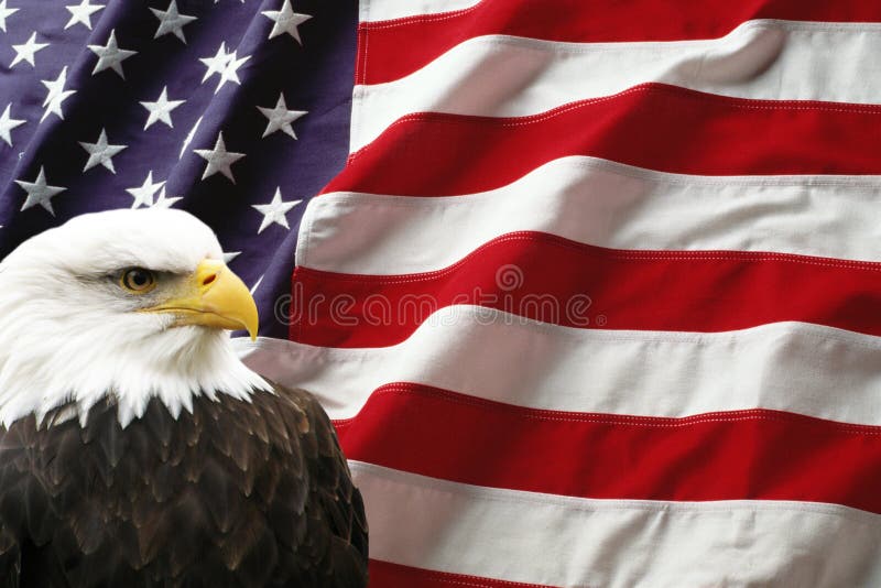 Bandeira americana com águia fotografia de stock royalty free Bandeira americana com águia fotografia de stock royalty free