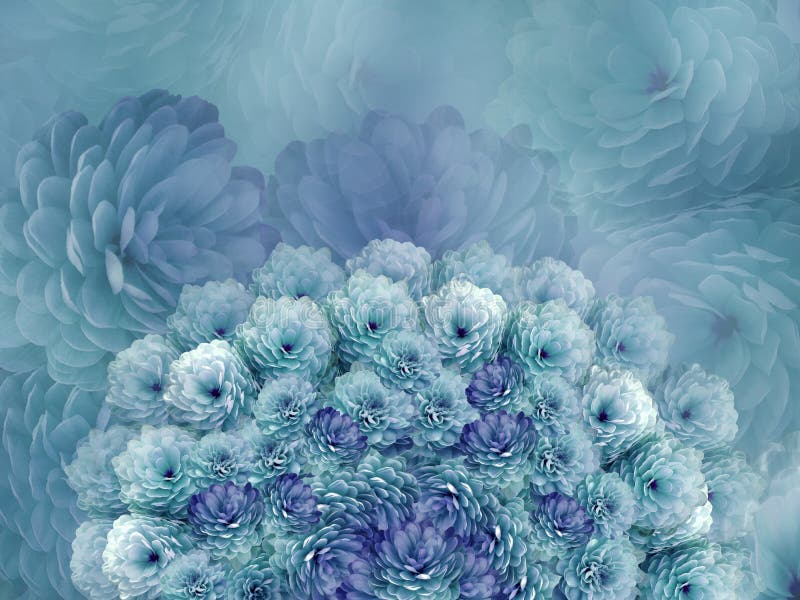 Bandeira das flores Background A turquesa floresce o crisântemo colagem floral Composição da flor imagem de stock Bandeira das flores Background A turquesa floresce o crisântemo colagem floral Composição da flor imagem de stock
