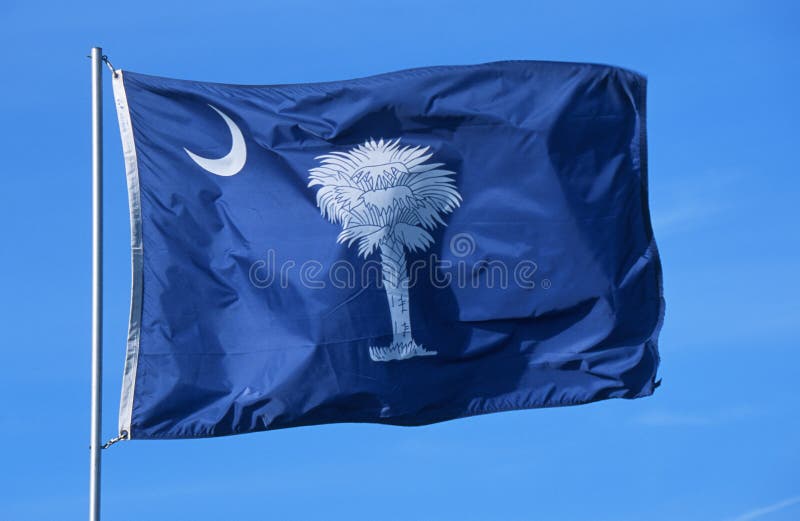Bandeira do estado de South Carolina imagens de stock Bandeira do estado de South Carolina imagens de stock