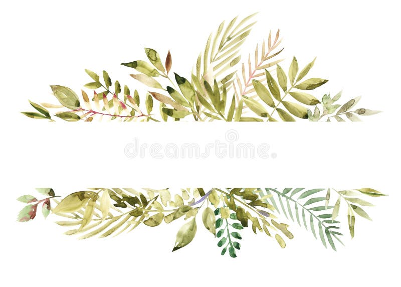 Bandeira floral verde pintado à mão da aquarela isolada no fundo branco Ervas curas para cartões, convite do casamento ilustração do vetor Bandeira floral verde pintado à mão da aquarela isolada no fundo branco Ervas curas para cartões, convite do casamento ilustração do vetor