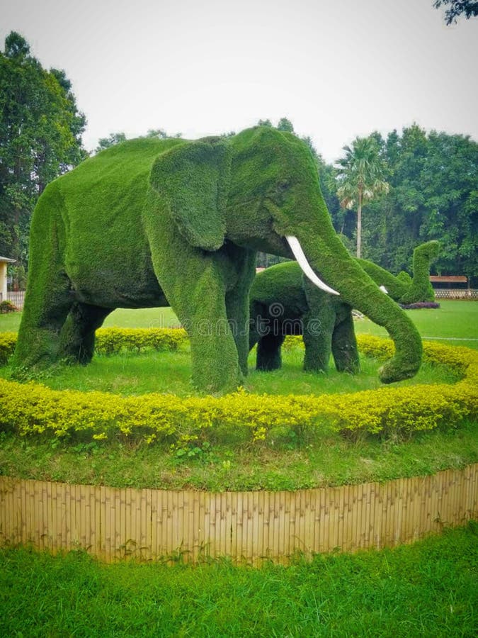 Bandeira verde selvagem do jardim do elefante decorativa imagens de stock Bandeira verde selvagem do jardim do elefante decorativa imagens de stock