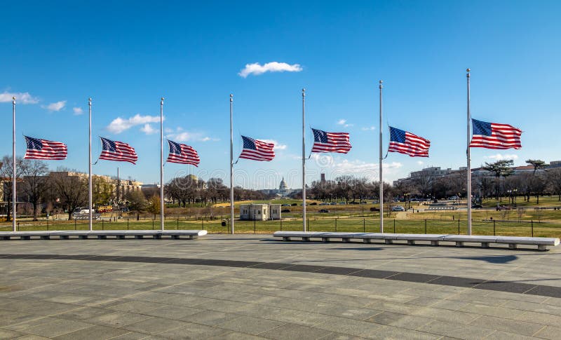Bandeiras americanas com o Capitólio dos E.U. no fundo - Washington, D C , EUA imagem de stock Bandeiras americanas com o Capitólio dos E.U. no fundo - Washington, D C , EUA imagem de stock